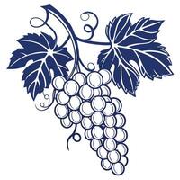 a fresh icon of a bunch of grapes detailed vector