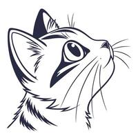A cat head with a long tail and a big nose vector