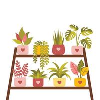 House plants on a shelf vector
