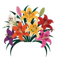 Multicolor Asiatic Lily Flat Design. vector