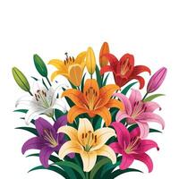 A bouquet of lilies on a white background vector