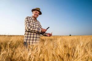 Satisfied farmer in his wheat field is using smartphone photo