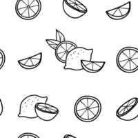 Lemon seamless graphic pattern in minimalistic style. Hand drawn Black and white Doodle illustration of whole Fruit and Cut Citrus Slices. For paper, menu, fabric. vector