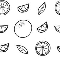 Orange seamless graphic pattern in minimalistic style. Hand drawn Black and White line art of whole Fruit and Cut Citrus Slices and Leaves isolated on a white background. For product packaging, menu vector