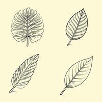 Hand-Drawn Botanical Leaves Set. A detailed set of hand-drawn botanical leaves, showcasing various natural shapes and vein patterns. Ideal for nature-themed projects, eco-friendly branding. vector