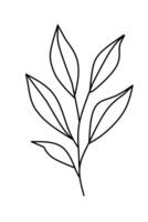 A black and white drawing of a leaf vector