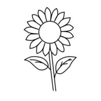 A sunflower is drawn in a line on a white background vector