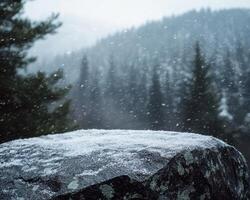 A rock covered in snow in the middle of a forest photo