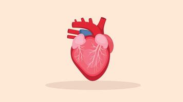 heart flat color vector