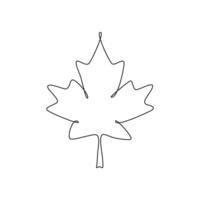 Maple leaf icon on white background. vector