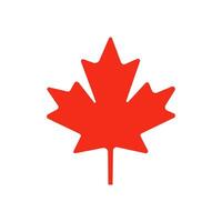 Maple leaf icon isolate on a white background. vector