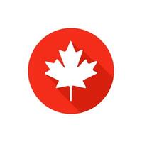 Maple leaf icon on white background vector