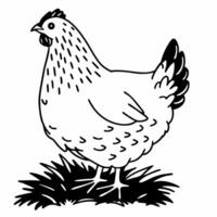 A black and white drawing of a chicken vector