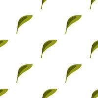 Seamless Simple Green Leaf Pattern. Minimal stylized green leaves in diagonal repeat on white background. Flat cartoon seamless botanical design. vector