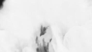 Elegant fog overlay with soft white smoke drifting across a black background captured for visual artists and editors seeking atmospheric textures for their work video