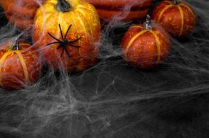 Spider sitting on pumkin covered in web. Spooky Halloween background with place for text. photo