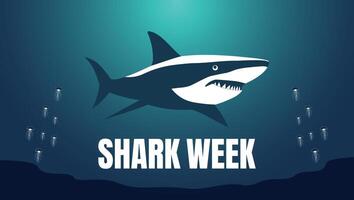 Shark Week July Bold Graphic Design templet vector