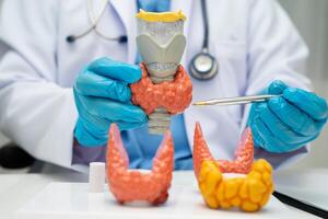 Hyperthyroidism Overactive Thyroid, Thyroid Lymphoma, Asian doctor thyroid gland photo