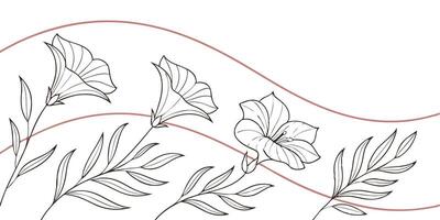Floral pattern with petunia flowers and leaves in a white background with a curved line vector