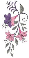 Close-up of the Verbena flower arranged beautifully and decorated with vines vector