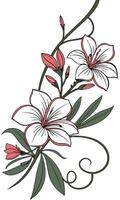 the Oleander flower arranged beautifully and decorated with vines vector