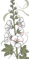 Close-up of the Hollyhock flower arranged beautifully and decorated with vines vector