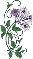 Close-up of the Heliotrope flower arranged beautifully and decorated with vines vector