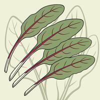 Four chard leaves with red veins and stems, arranged diagonally on a beige background with faint leaf outlines vector