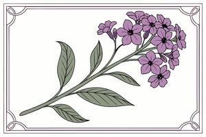 Frame of Heliotrope with transparent background vector