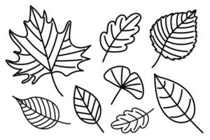A Collection of Various Leaf Illustrations Available for Multiple Creative Uses and Projects vector
