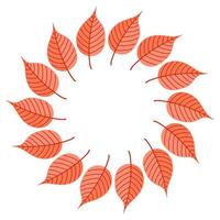 A Mesmerizing Circular Arrangement of Autumn Leaves Displaying Vibrant Orange Hues vector