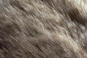 Close-up view of soft brown animal fur texture with natural fibers and detailed patterns. photo