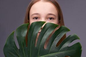 Young caucasian female partially hidden behind large green monstera leaf on gray background. photo