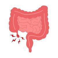 Cartoon of man appendicitis symptom vector