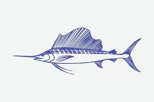 hand drawn sketch of sailfish, billfish illustration. vector