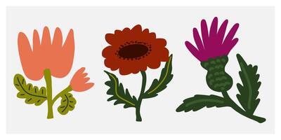 three different flowers are shown in this illustration vector