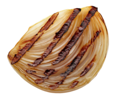 Grilled onion half with grill marks isolated on transparent background, top view png