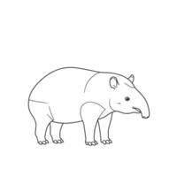 Sketch shows a south american tapir standing in grass. vector