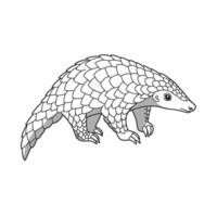 A curious pangolin walks slowly across a white background, showcasing its detailed scales in a sketch style. The illustration highlights the unique texture and natural appearance vector