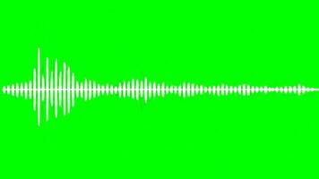 White and black audio visualization with a green screen background video