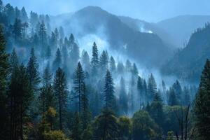Smoke intertwines with tall pines in a mountainous setting under a clear sky, creating an atmospheric scene at dawn photo