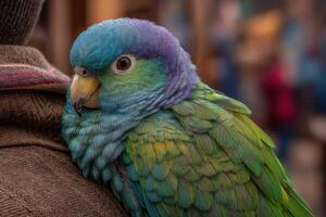 A vivid parrot with blue and green feathers perches peacefully on a person's shoulder, surrounded by a bustling market atmosphere photo