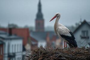 A stork stands elegantly on its nest, overlooking a quiet town shrouded in morning mist with a church tower in the background photo