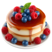 Delicious double layer dessert topped with blueberries raspberries and caramel sauce png
