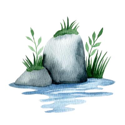 cute pond with rocks and grass, watercolor cartoon illustration. environment, landscape