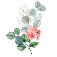 Bouquet of pink hydrangea flowers and eucalyptus leaves with golden elements. Watercolor composition vector