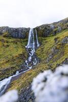 Baejarfoss waterfall elegantly down mossy cliffs in Olafsvik, Iceland, surrounded by lush green slopes and volcanic rock in a serene coastal landscape photo