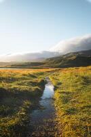 Sunrise with golden grasslands and soft clouds above, creating a peaceful and iconic Icelandic scene on the Snaefellsnes Peninsula photo
