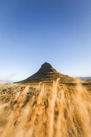 Kirkjufell mountain with golden grasslands and soft clouds above, creating a peaceful and iconic Icelandic scene on the Snaefellsnes Peninsula photo