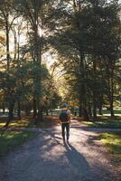 Solo hiker explores Oslo serene park trails, embraced by golden autumn light streaming through tall trees where nature and peace go hand in hand photo